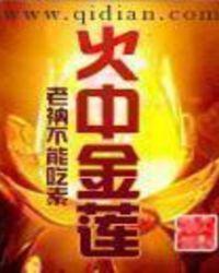 火中金莲 奇书