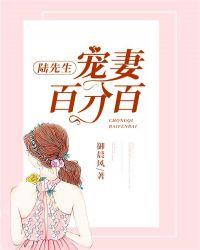 陆先生宠妻百分百txt