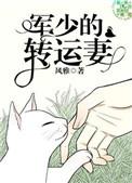 军少的转运妻连城网
