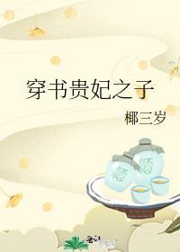 穿之贵妃有喜了