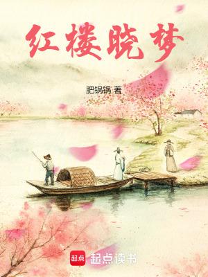 红楼晓梦 肥锅锅