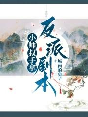 小师叔什么境界