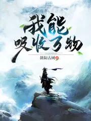 我能吸收一切能量