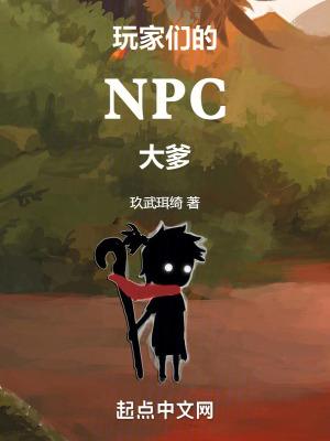 npc眼里的玩家
