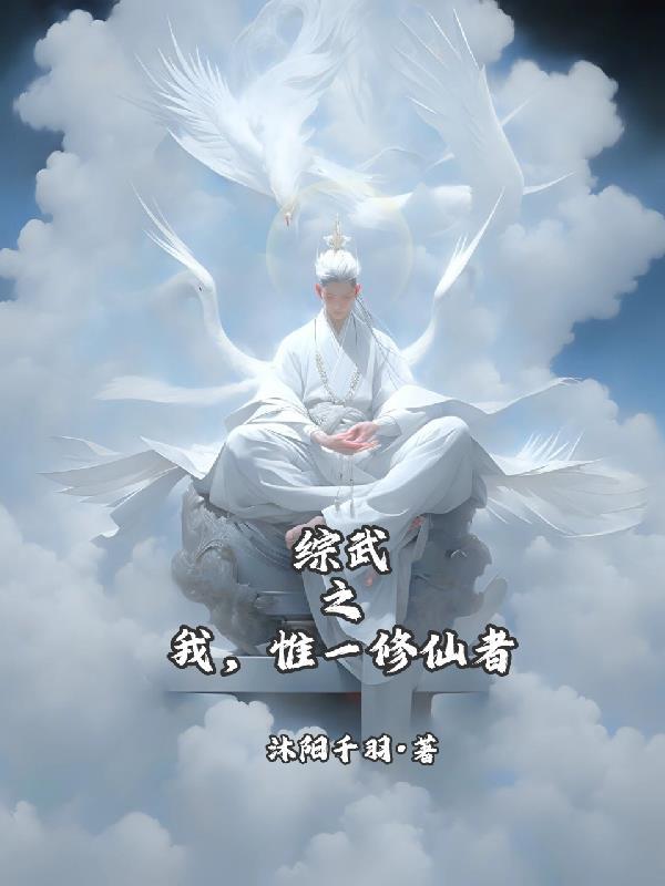 综武之仙武系统