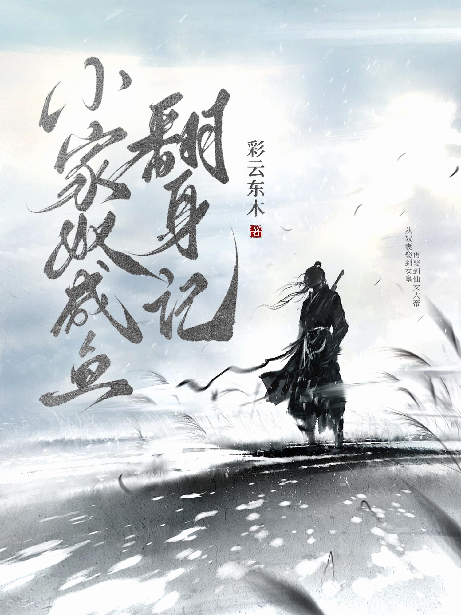 小家奴晋江文学