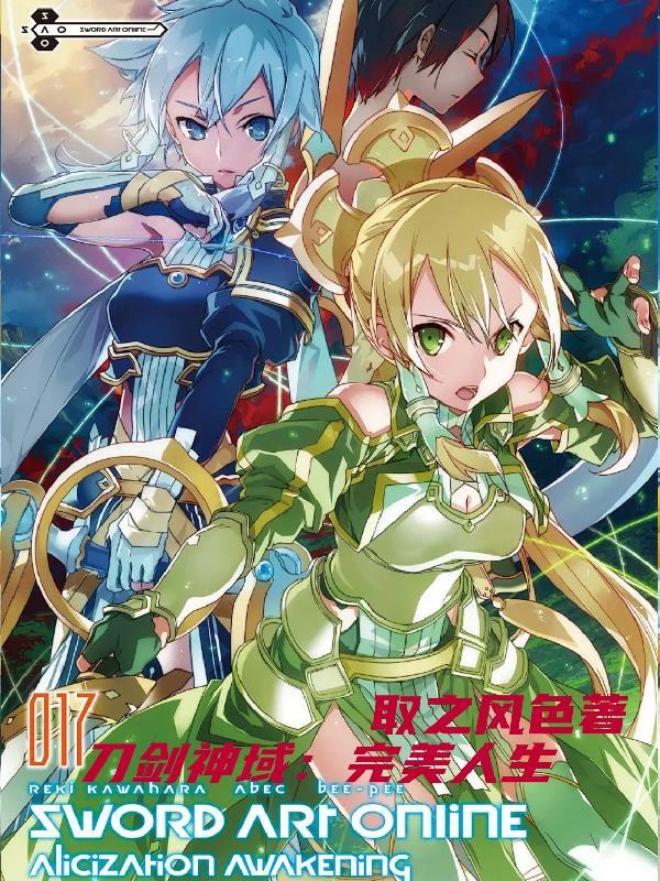 刀剑神域黑衣剑士王牌