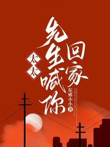 傅太太无弹窗全文阅读