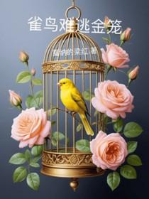 雀鸟与金笼在哪看