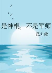 不是军师免费阅读