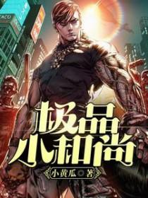 极品小和尚txt