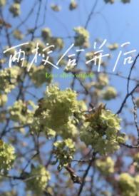 两所大学合并