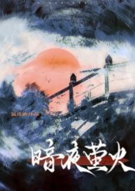 暗夜全本阅读