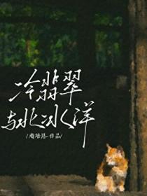 冰种翡翠价值