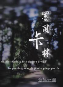 墨司卡林全文TXT免费