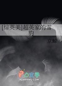综英美超英家的雪豹txt