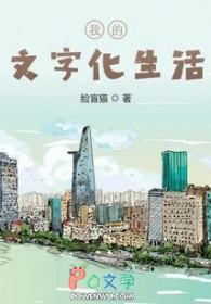 我国文字文化相关作文