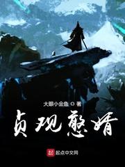 贞观憨婿最新