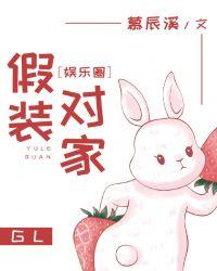 假装对家娱乐圈全文免费阅读