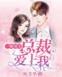 一胎双宝总裁追妻上瘾