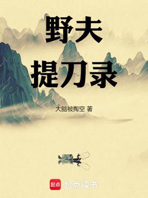 野夫提刀录无防盗精校 野夫提刀录无防盗精校