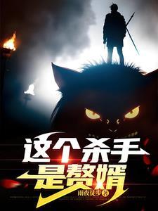 这个杀手是赘婿全集免费观看正版