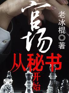 官场秘史
