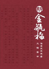 大陸禁書:新金瓶梅 大陸禁書:新金瓶梅