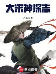 大宋神探志 大宋神探志