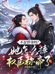 不是替身吗?她怎么捧权臣称帝了 不是替身吗?她怎么捧权臣称帝了