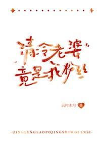 清冷老婆竟是我粉丝 清冷老婆竟是我粉丝